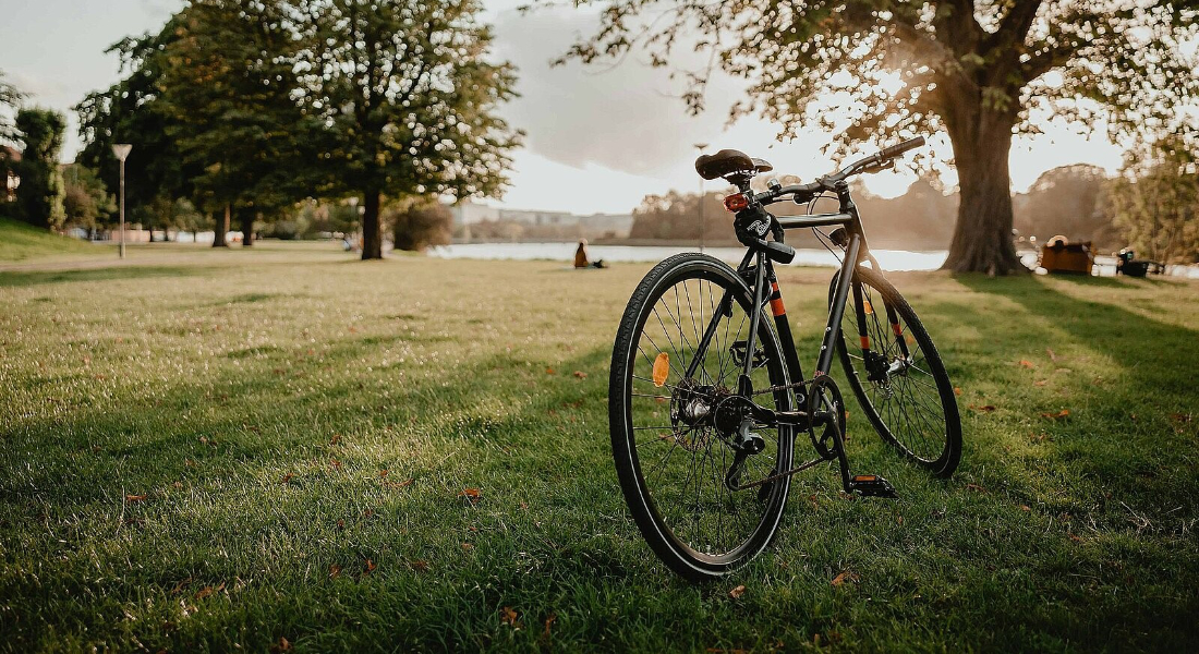 Sago Bikes - Blog - Fahrradgroesse